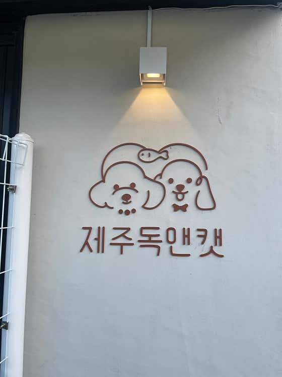 제주독앤캣 · 네이버 지도·플레이스 2