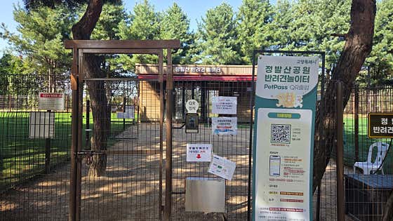 정발산공원 반려견 놀이터 · 네이버 지도·플레이스 2