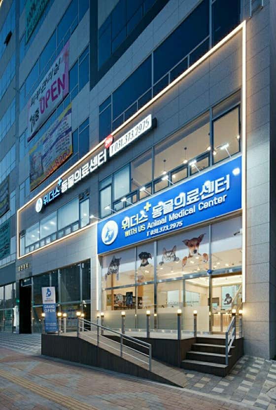 애완용품점