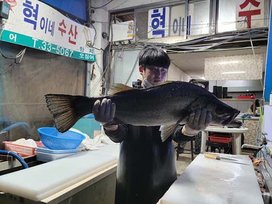 혁이네수산 · 네이버 지도·플레이스 2