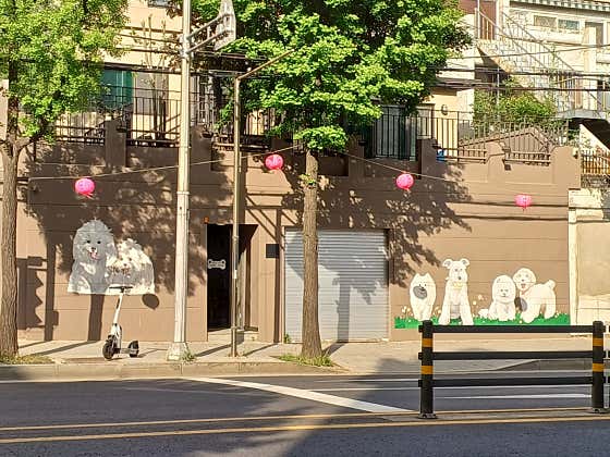 은퇴한수의사의저택 · 네이버 지도·플레이스 5