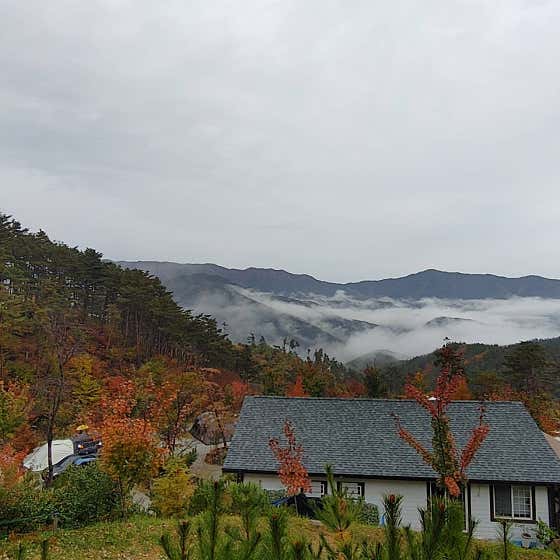숲속애캠핑장 대표이미지