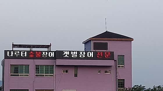 나루터숯불장어 · 네이버 지도·플레이스 10