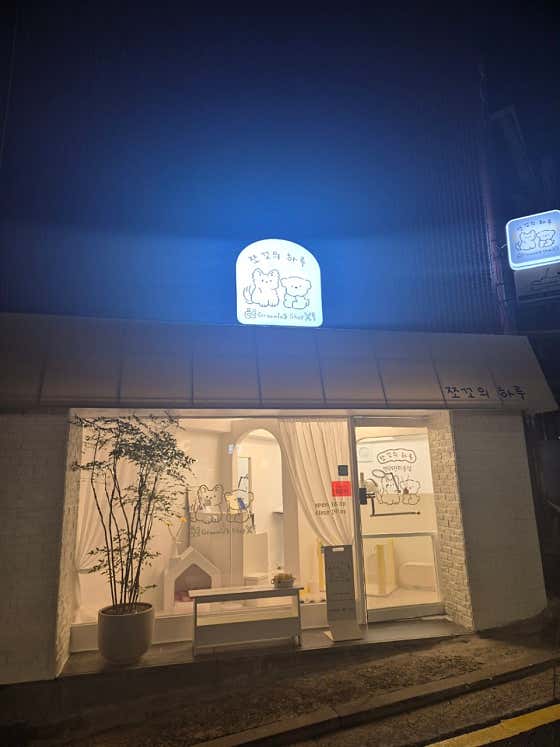 쪼꼬의 하루 그루밍샵 · 네이버 지도·플레이스 3