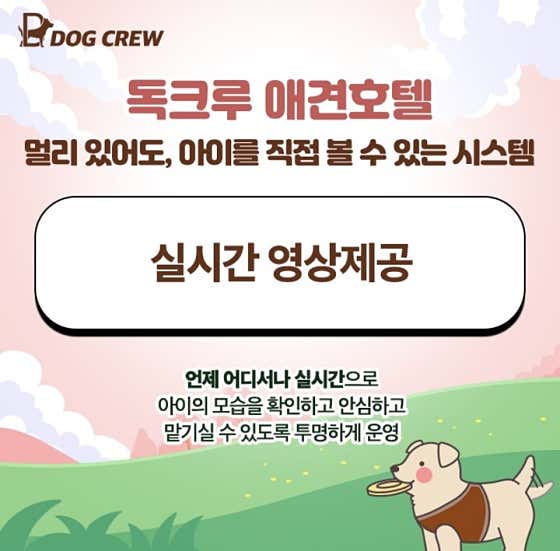 독크루 첨단점 · 네이버 지도·플레이스 6