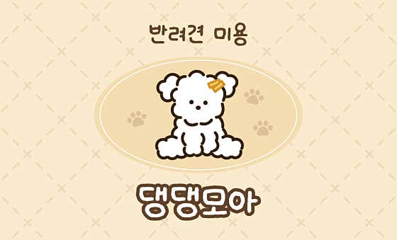 댕댕모아