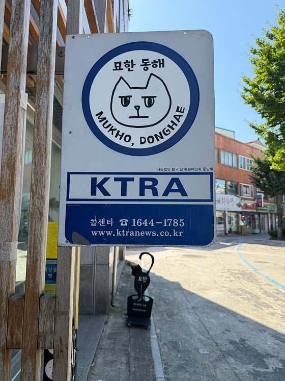 묘한 동해 · 네이버 지도·플레이스 7