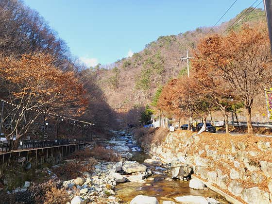 소담캠핑장 · 네이버 지도·플레이스 2