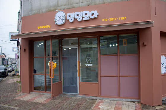 댕댕모아