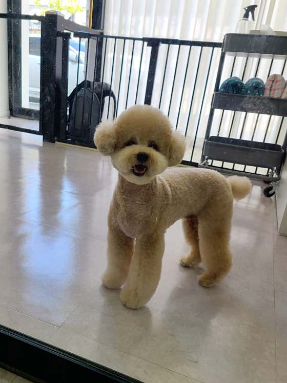 자연스럽개 · 네이버 지도·플레이스 9