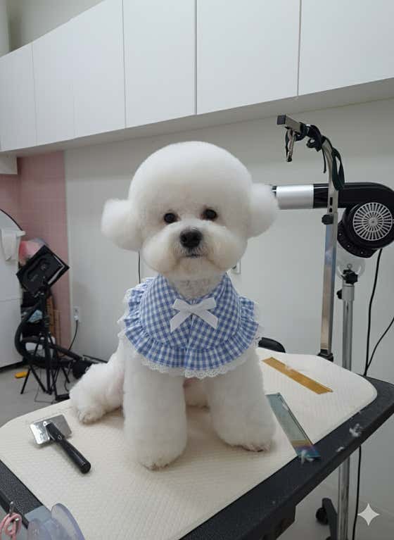 와와살롱 · 네이버 지도·플레이스 9
