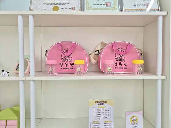 멍동댕애견유치원 · 네이버 지도·플레이스 3