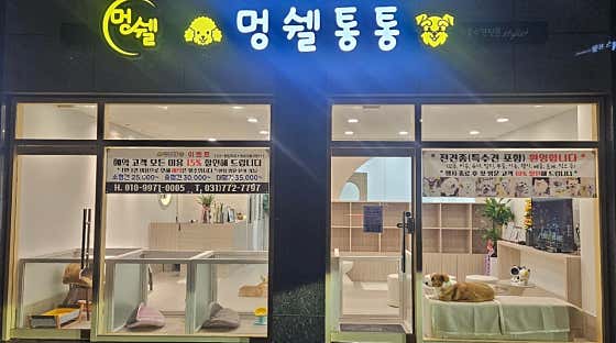 멍쉘통통 · 네이버 지도·플레이스 2