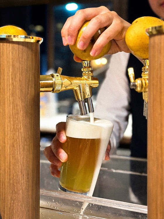 감자아일랜드 춘천