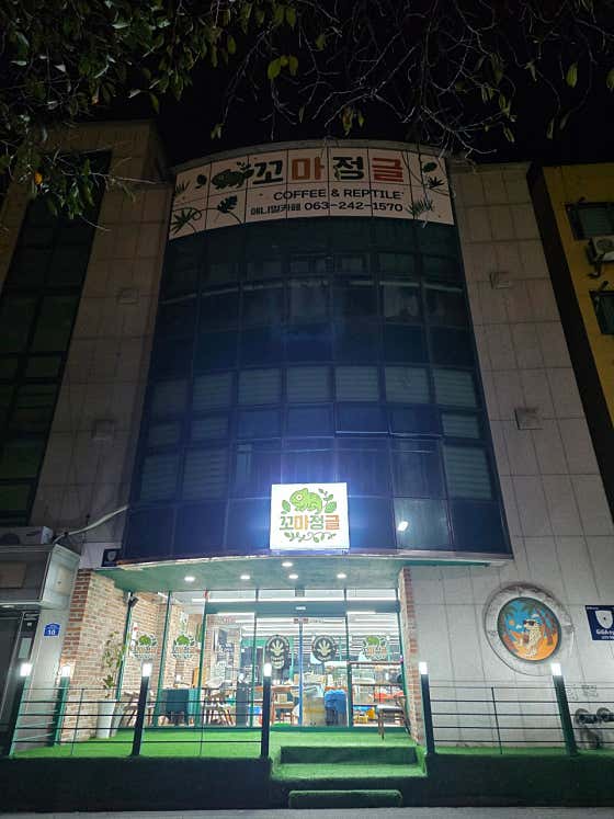 꼬마정글 · 네이버 지도·플레이스 2