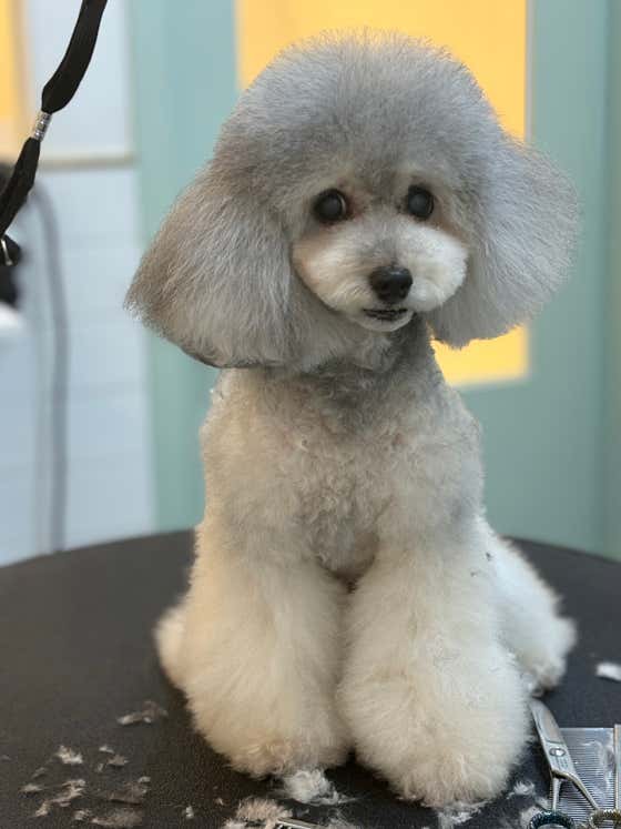 복탄산수 · 네이버 지도·플레이스 8