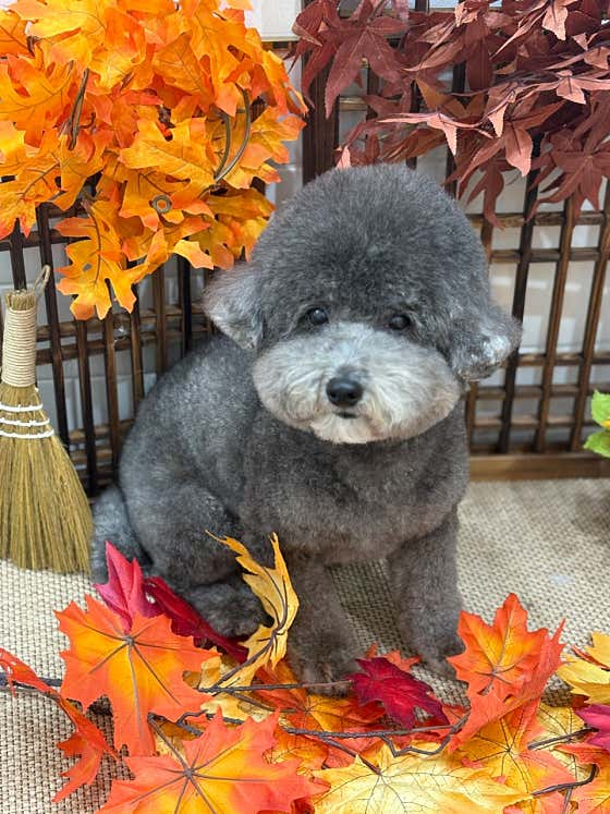복탄산수 · 네이버 지도·플레이스 2