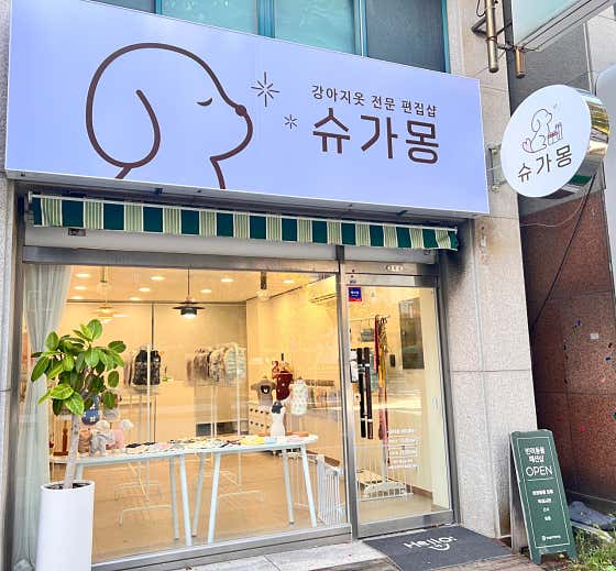 슈가몽