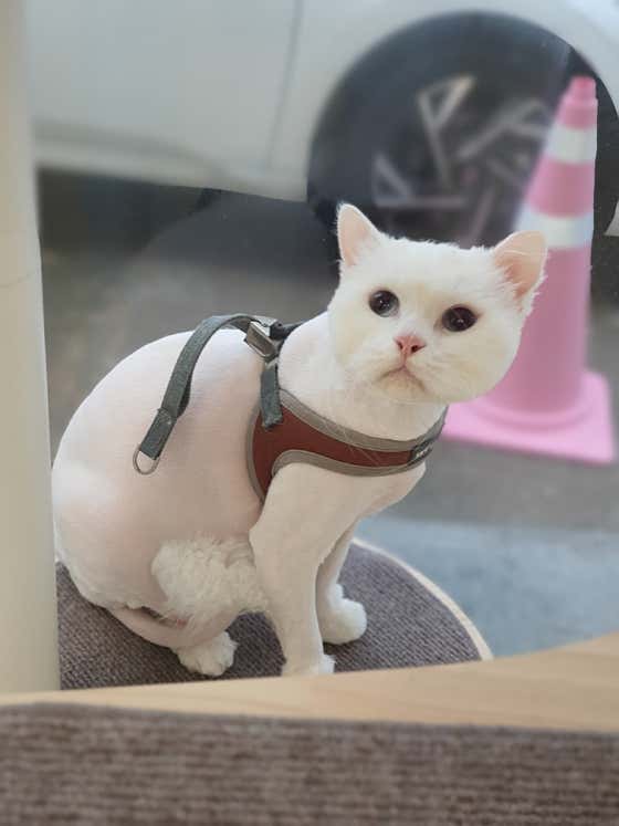 바둑아놀자 · 네이버 지도·플레이스 4