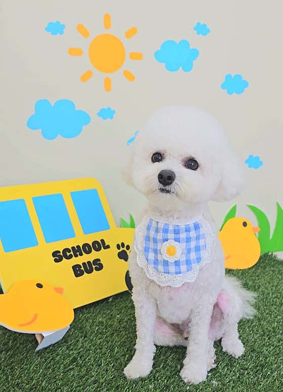 몽글멍글 · 네이버 지도·플레이스 5