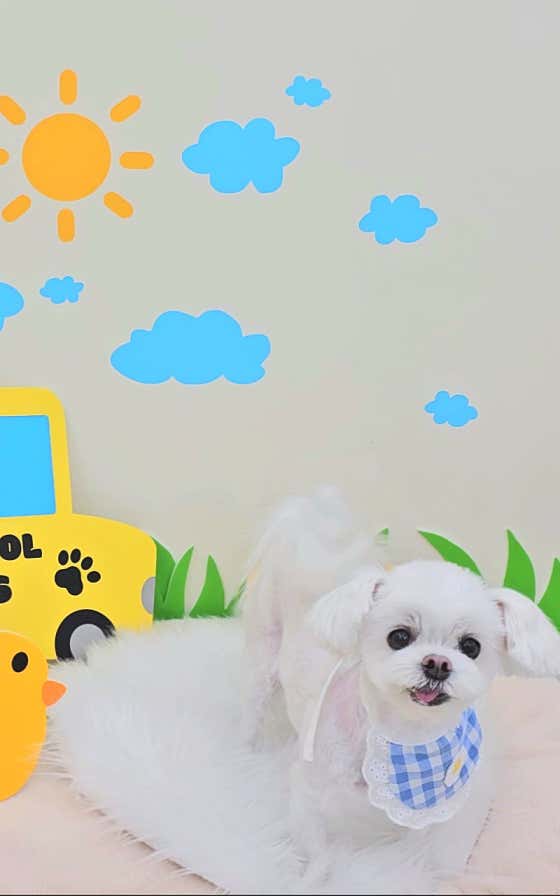 몽글멍글 · 네이버 지도·플레이스 2