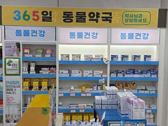 사당프라자 약국 · 네이버 지도·플레이스 6