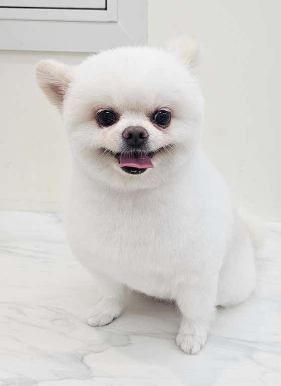 엘레멍스 · 네이버 지도·플레이스 9