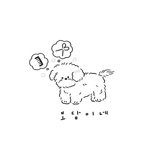 보담이네 대표이미지