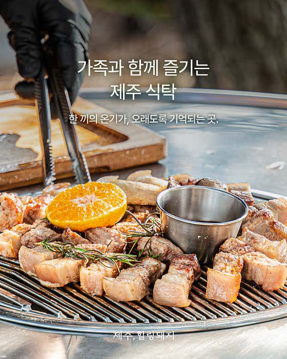 제주힐링돼지