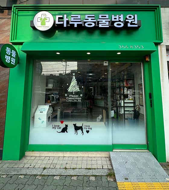 다루동물병원