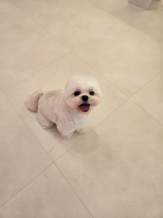 안녕,애기