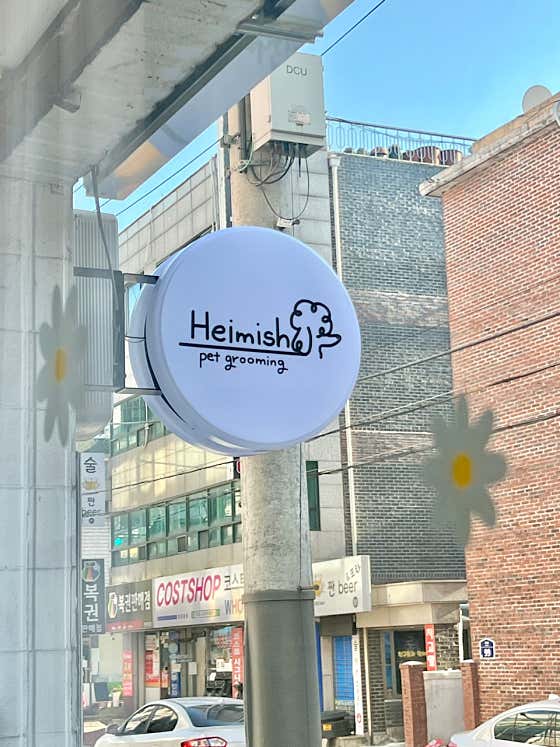 헤이미쉬 애견미용실 · 네이버 지도·플레이스 9
