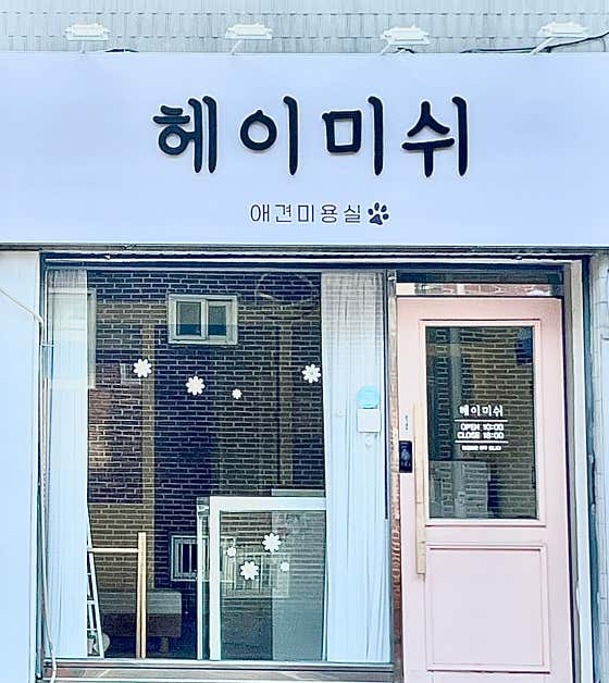 헤이미쉬 애견미용실 · 네이버 지도·플레이스 8