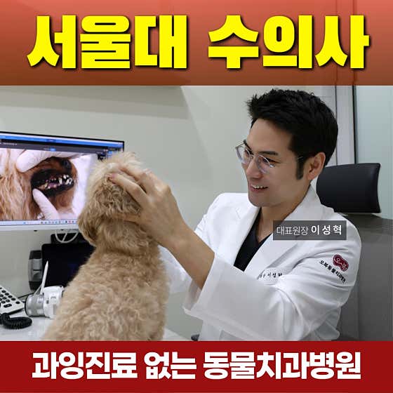 오복동물치과병원 대표이미지