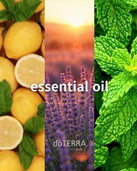 레몬테라피 (동탄역) 매장 사진 3