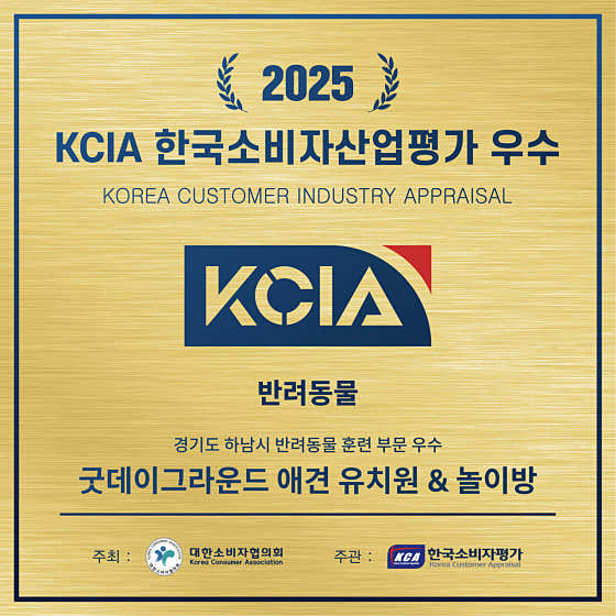 굿데이그라운드 사진