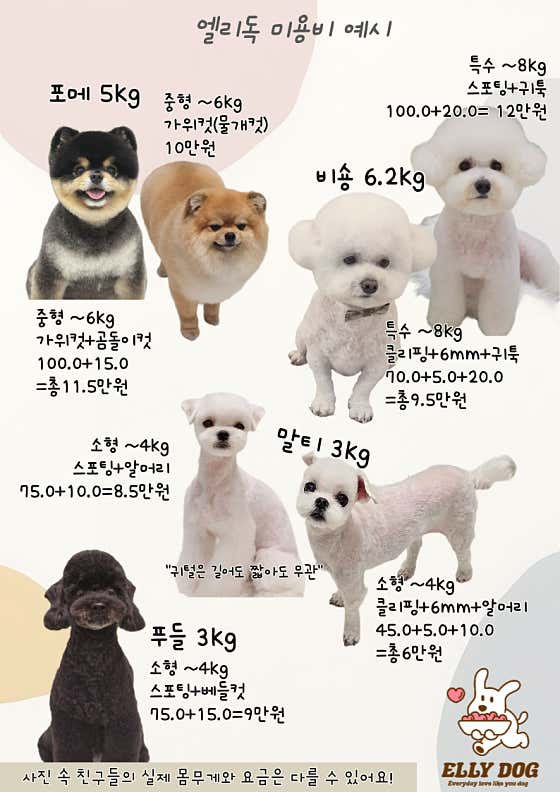 엘리독 · 네이버 지도·플레이스 2