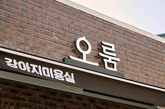 오룸 · 네이버 지도·플레이스 2