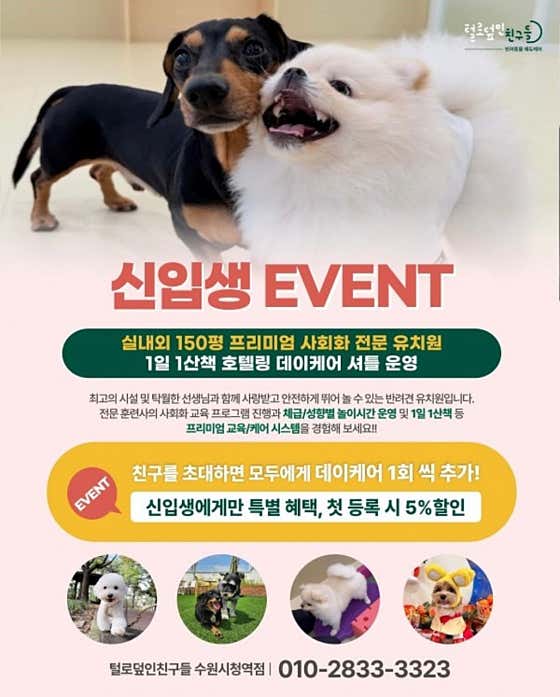 털로덮인친구들 애견유치원 & 애견호텔 수원시청역점 · 네이버 지도·플레이스 2