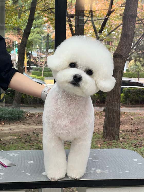 개인살롱 · 네이버 지도·플레이스 7