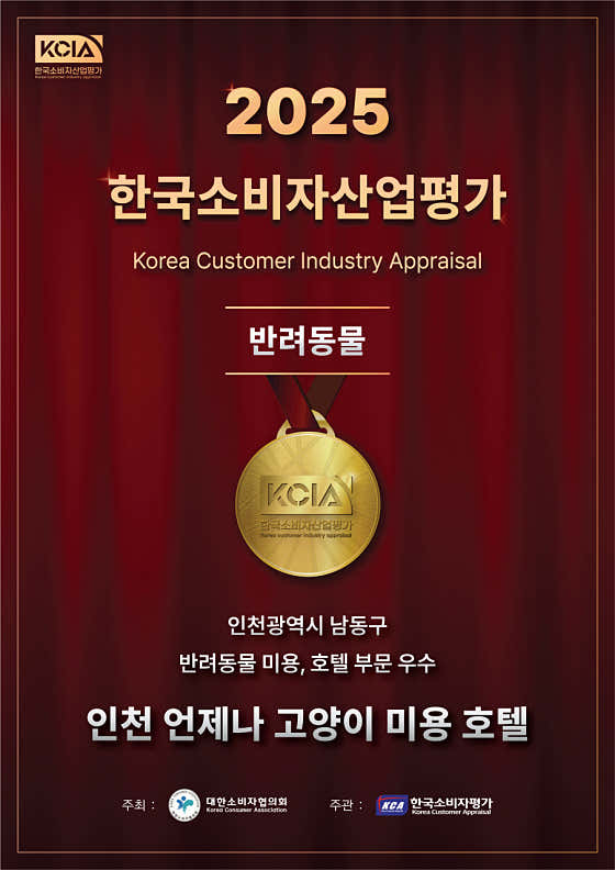 언제나고양이 인천구월 · 네이버 지도·플레이스 5