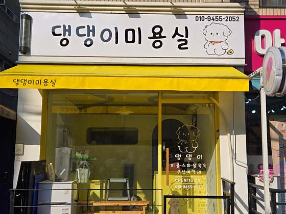 댕댕이 미용실 · 네이버 지도·플레이스 1