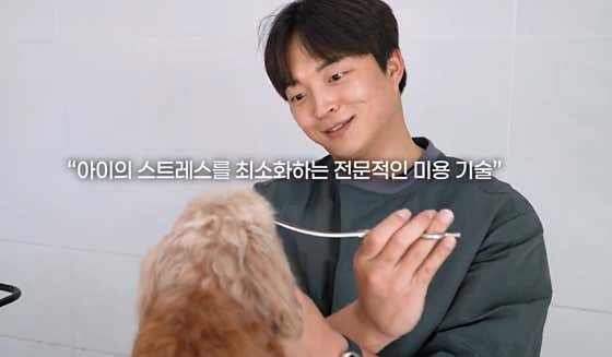 빵이네 애견미용실 · 네이버 지도·플레이스 4