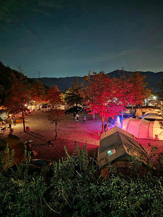 용인단풍숲캠핑장 대표이미지