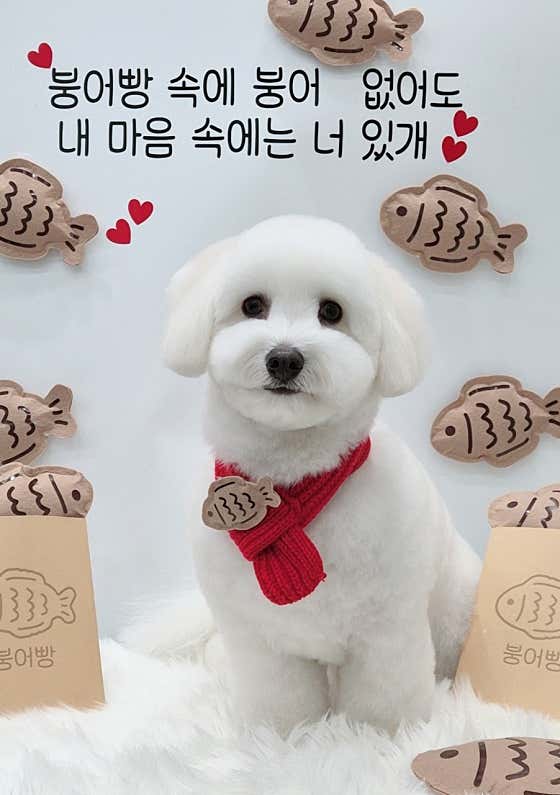 커몽 · 네이버 지도·플레이스 2
