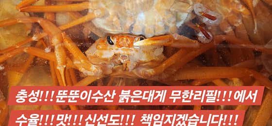 뚠뚠이수산 붉은대게 무한리필 성당본점