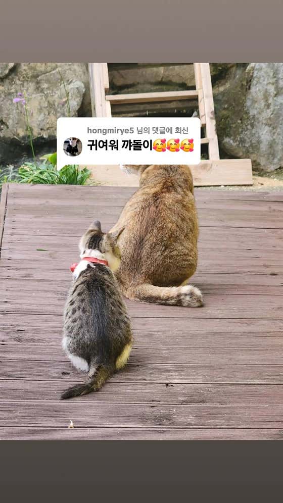 그곳에가면 · 네이버 지도·플레이스 7