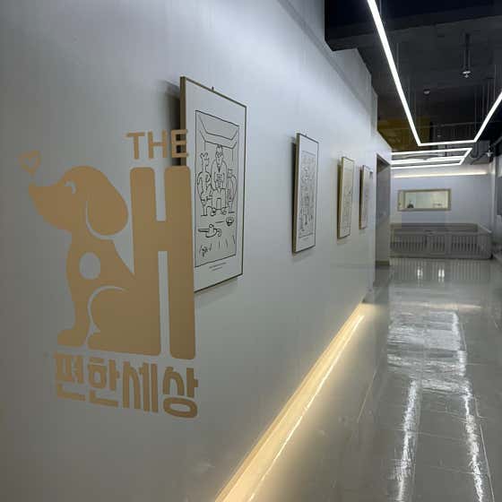 더개편한세상 · 네이버 지도·플레이스 7