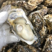 겨울(추가) 제철 통영굴찜 1kg 메뉴 사진(네이버)
