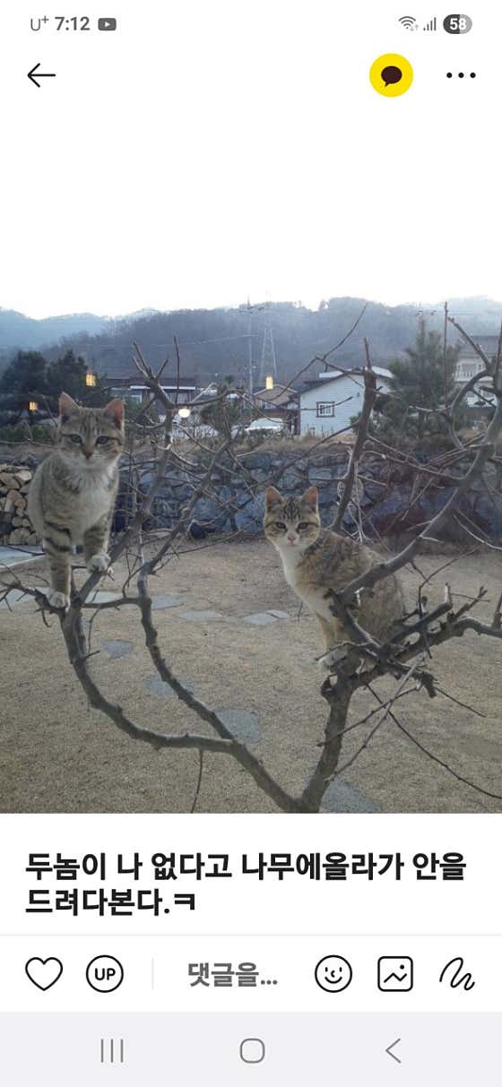 그곳에가면 · 네이버 지도·플레이스 6